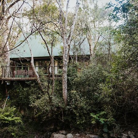 Rockwood Karkloof Forest Lodge & Mountain Cabin Yarrow Exteriér fotografie