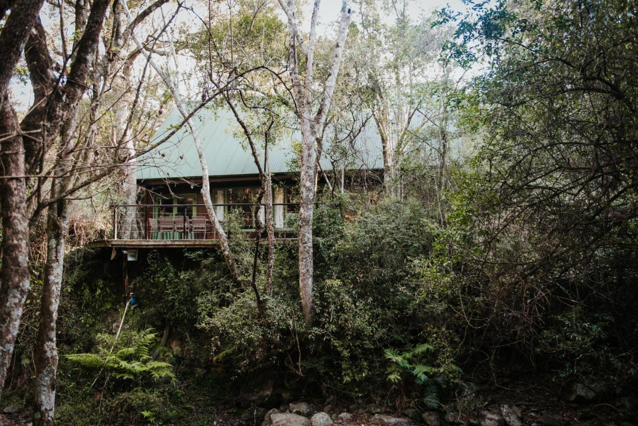 Rockwood Karkloof Forest Lodge & Mountain Cabin Yarrow Exteriér fotografie